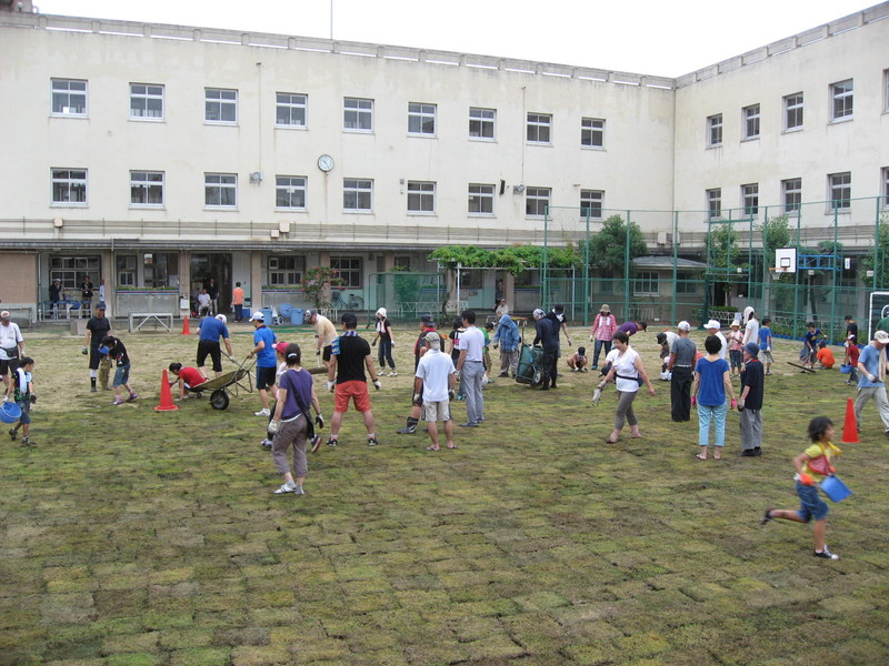 3. 張芝作業