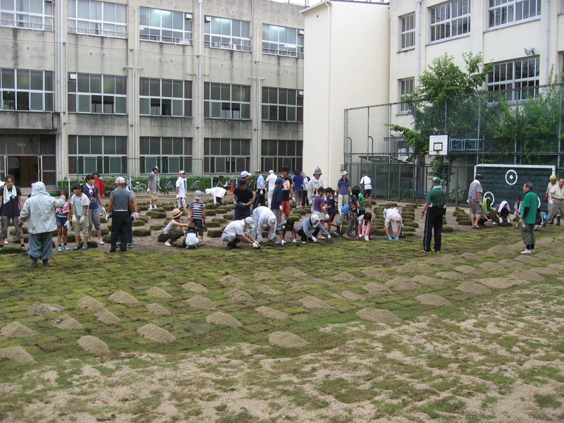 4. 目土入れ作業