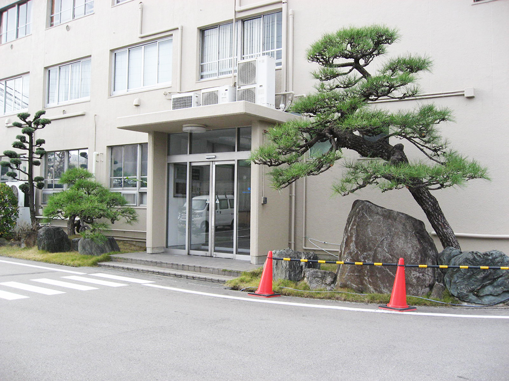 工場 剪定後