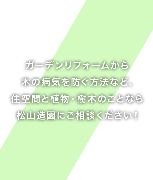 ガーデンリフォームから木の病気を防ぐ方法など、住空間と植物・樹木のことなら松山造園にご相談ください！